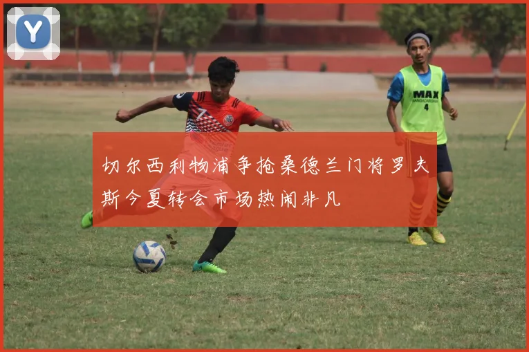 切尔西利物浦争抢桑德兰门将罗夫斯今夏转会市场热闹非凡
